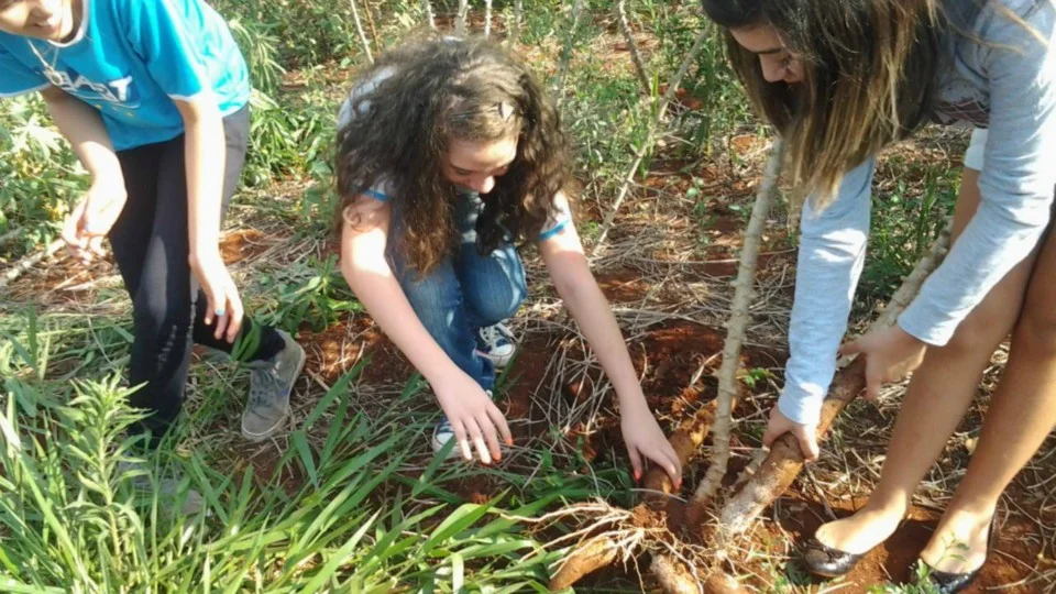 Aula de Campo - Turma 7º A - Profª Alessandra Aula de Campo - Turma 7º A - Profª Alessandra