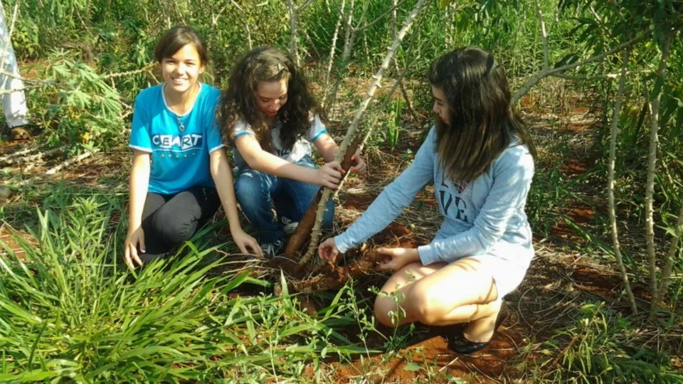 Aula de Campo - Turma 7º A - Profª Alessandra Aula de Campo - Turma 7º A - Profª Alessandra