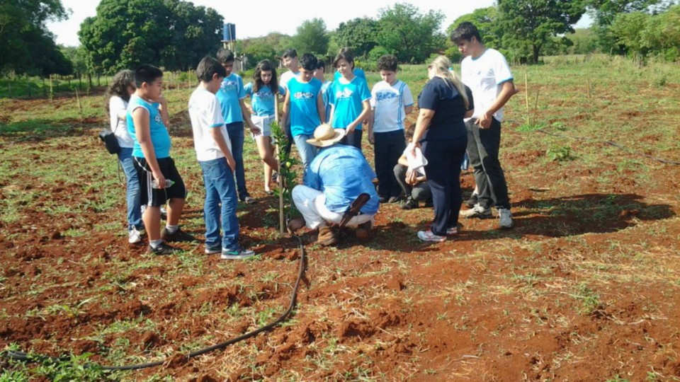 Aula de Campo - Turma 7º A - Profª Alessandra Aula de Campo - Turma 7º A - Profª Alessandra