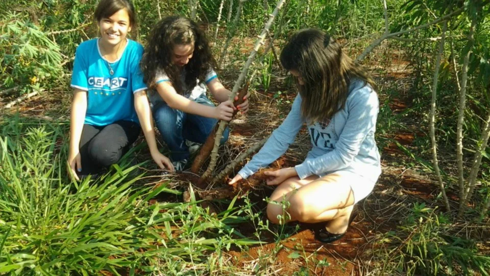 Aula de Campo - Turma 7º A - Profª Alessandra Aula de Campo - Turma 7º A - Profª Alessandra
