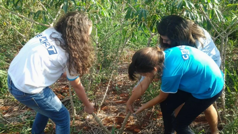 Aula de Campo - Turma 7º A - Profª Alessandra Aula de Campo - Turma 7º A - Profª Alessandra