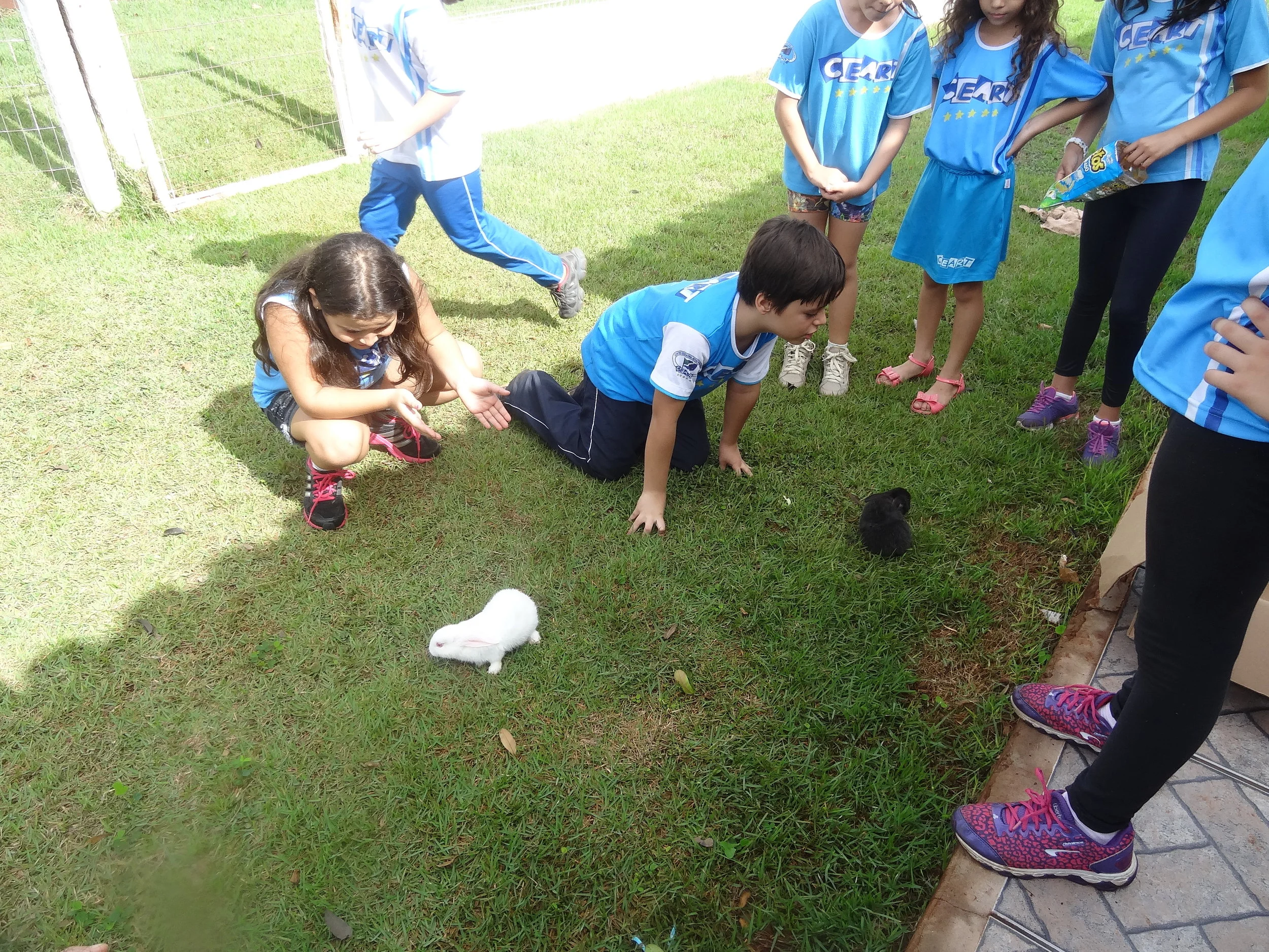 Manhã de lazer com 3º ano A - Professora Andrea