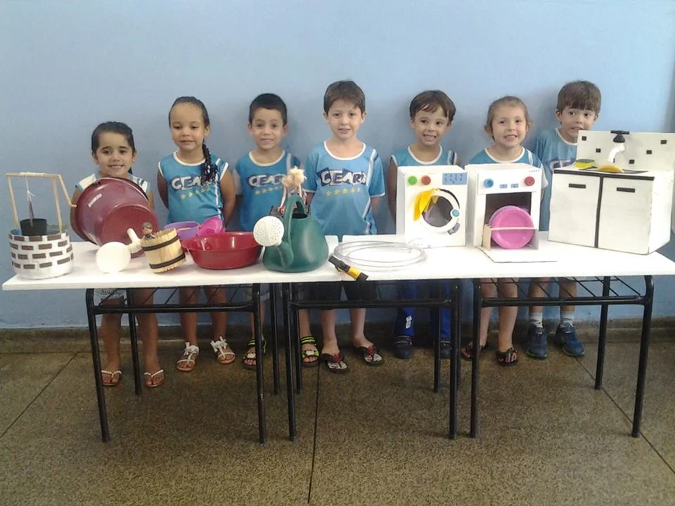 Desenvolvimento dos Projetos da Feira de Ciências- 2015