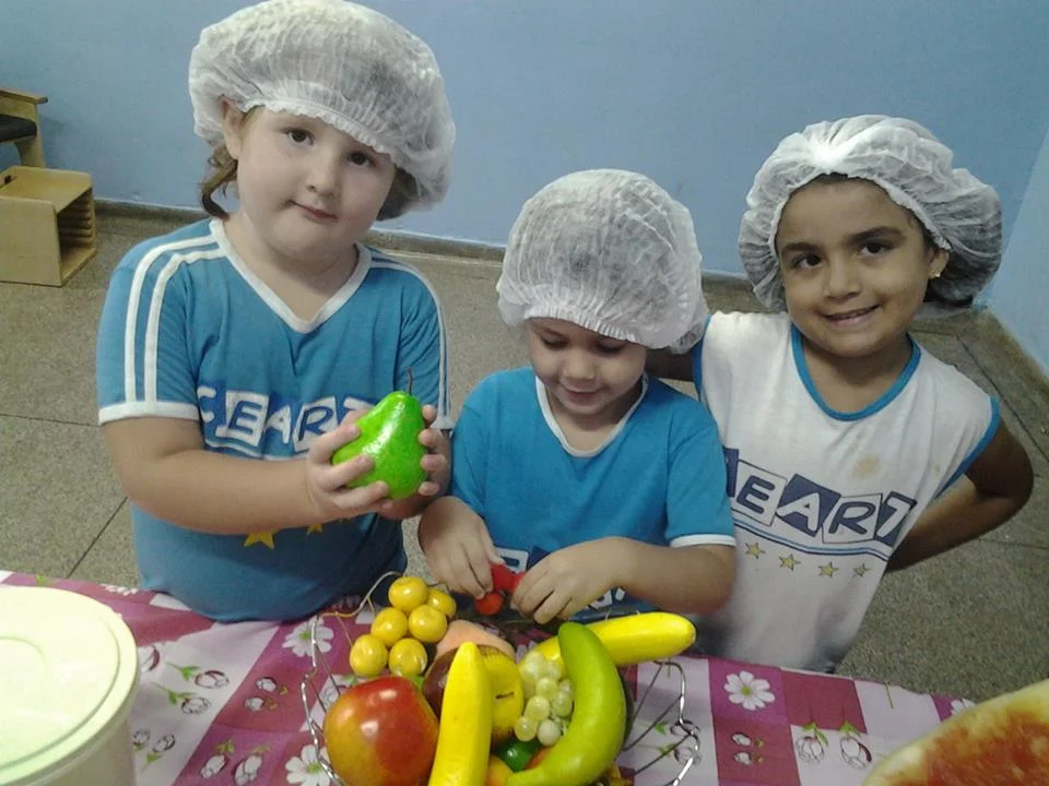 Desenvolvimento dos Projetos da Feira de Ciências- 2015