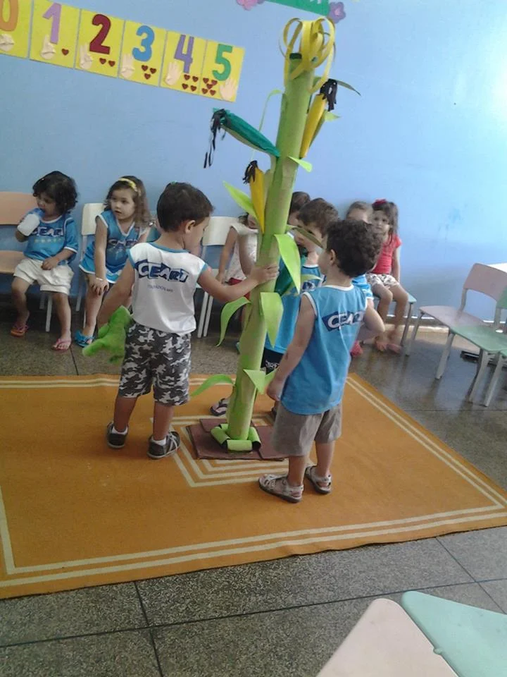 Desenvolvimento dos Projetos da Feira de Ciências- 2015