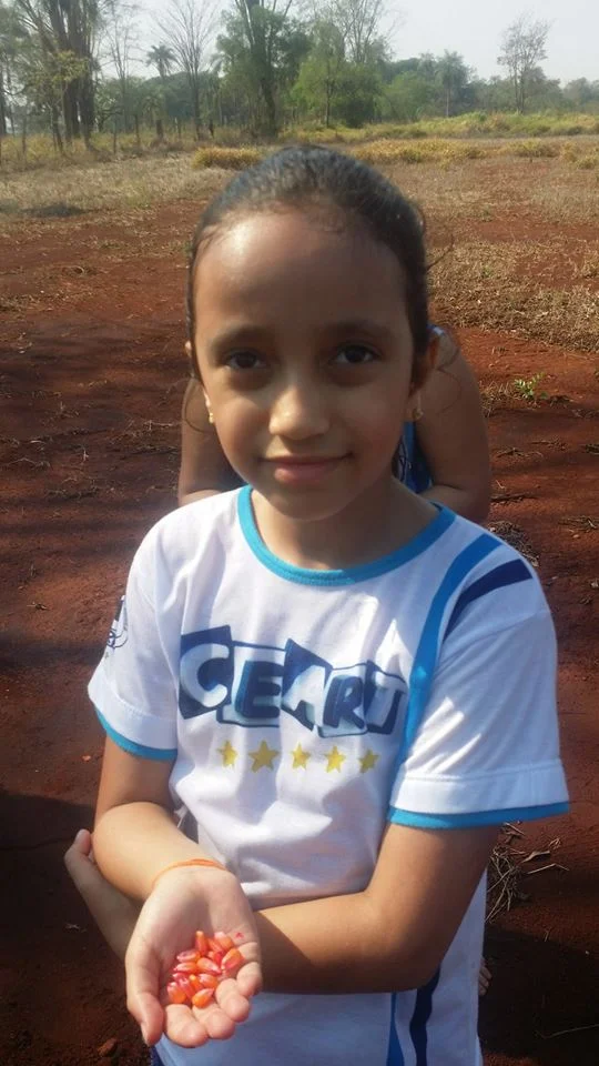 Desenvolvimento dos Projetos da Feira de Ciências- 2015