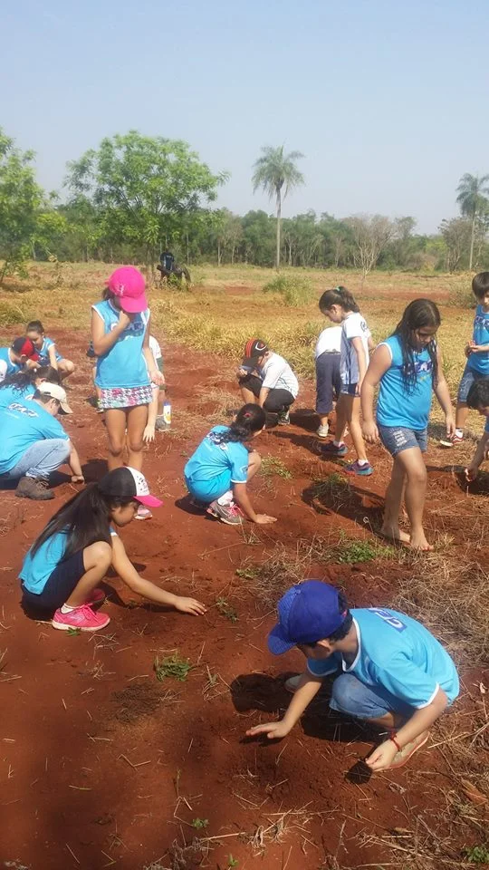 Desenvolvimento dos Projetos da Feira de Ciências- 2015