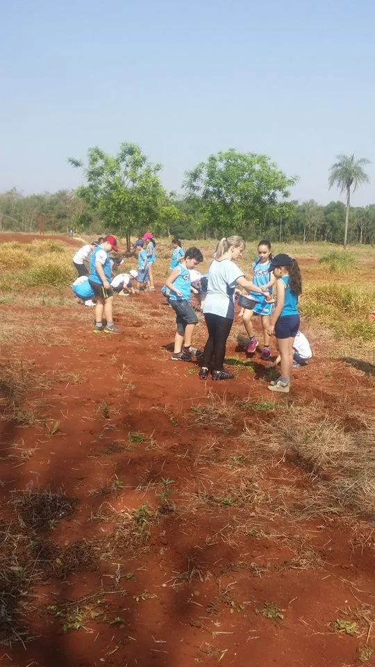 Desenvolvimento dos Projetos da Feira de Ciências- 2015
