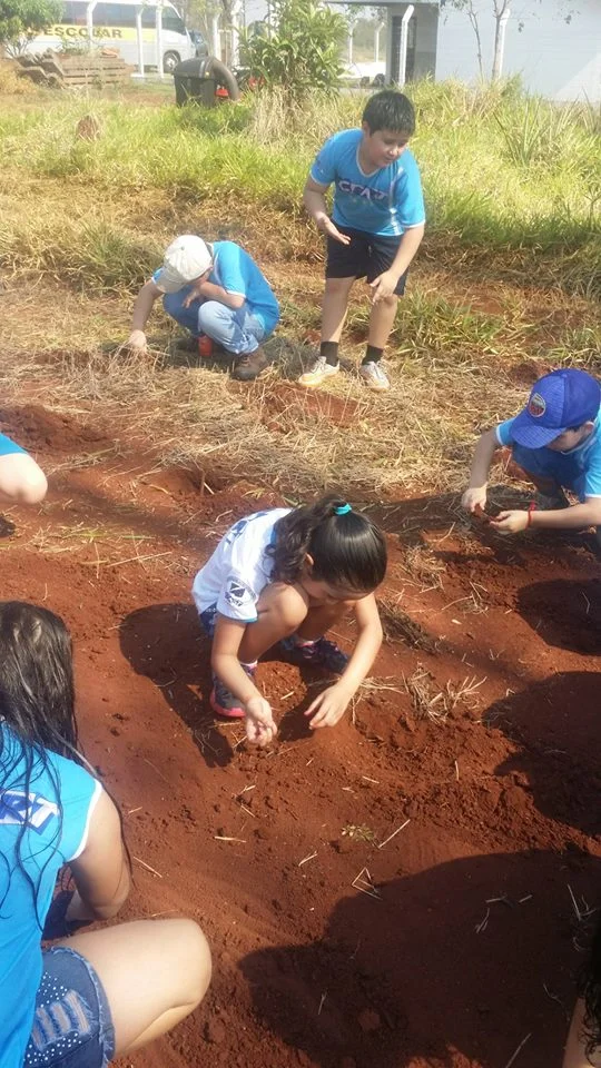 Desenvolvimento dos Projetos da Feira de Ciências- 2015