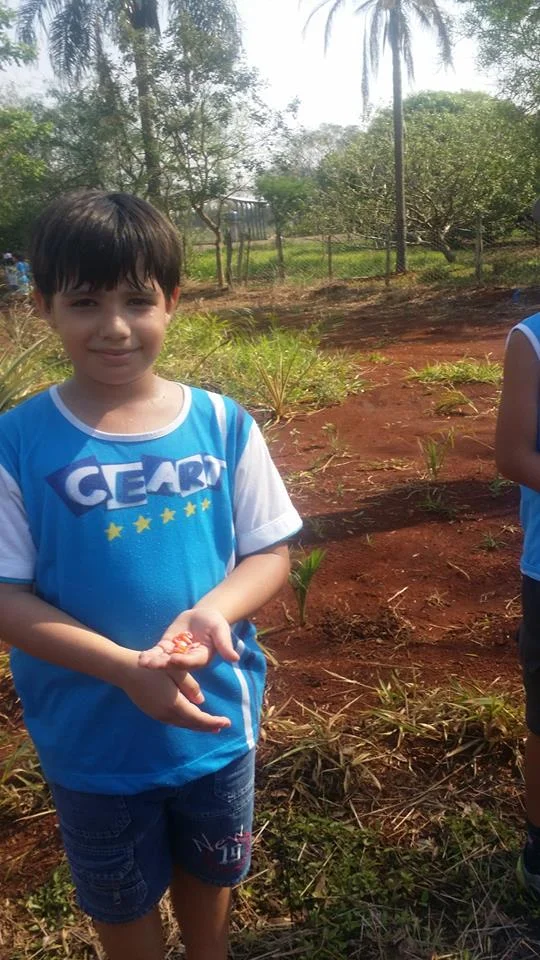 Desenvolvimento dos Projetos da Feira de Ciências- 2015
