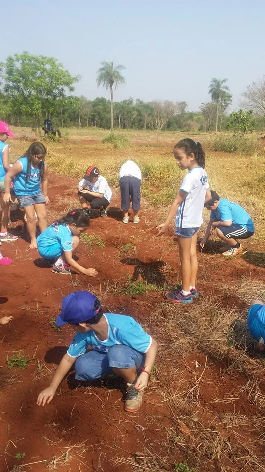 Desenvolvimento dos Projetos da Feira de Ciências- 2015
