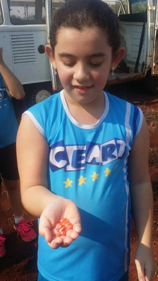 Desenvolvimento dos Projetos da Feira de Ciências- 2015