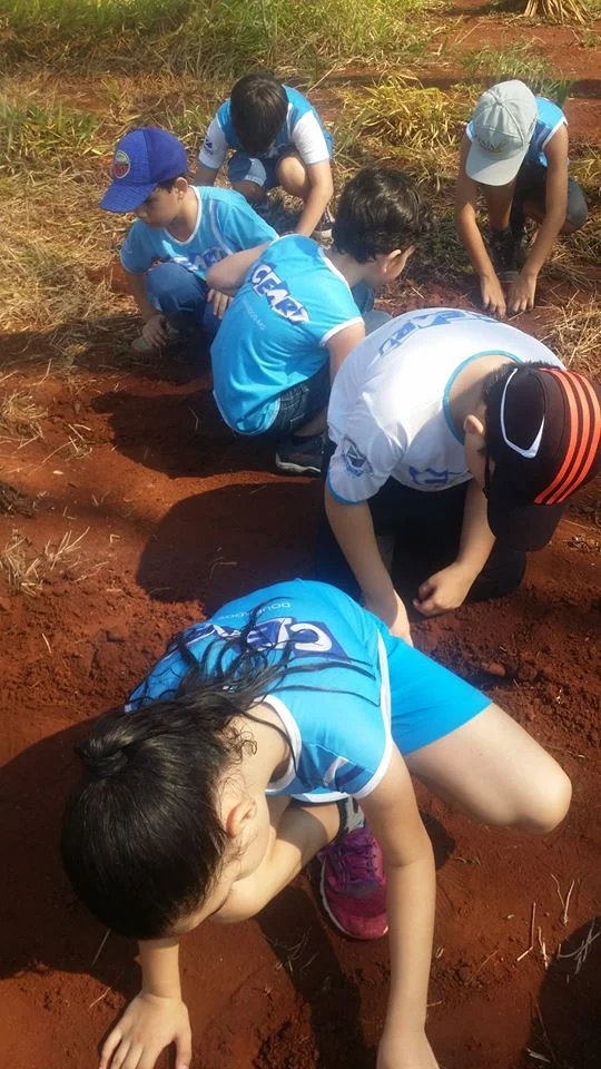 Desenvolvimento dos Projetos da Feira de Ciências- 2015