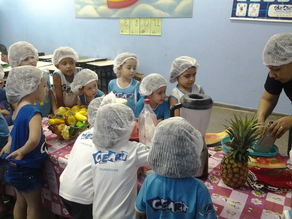 Desenvolvimento dos Projetos da Feira de Ciências- 2015