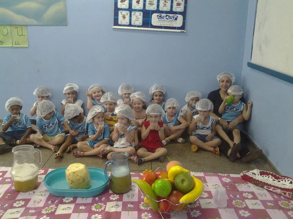 Desenvolvimento dos Projetos da Feira de Ciências- 2015