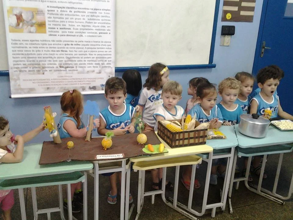 Desenvolvimento dos Projetos da Feira de Ciências- 2015