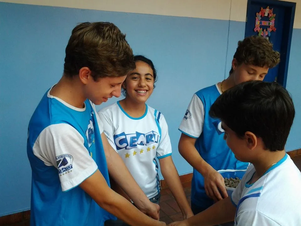Desenvolvimento dos Projetos da Feira de Ciências- 2015