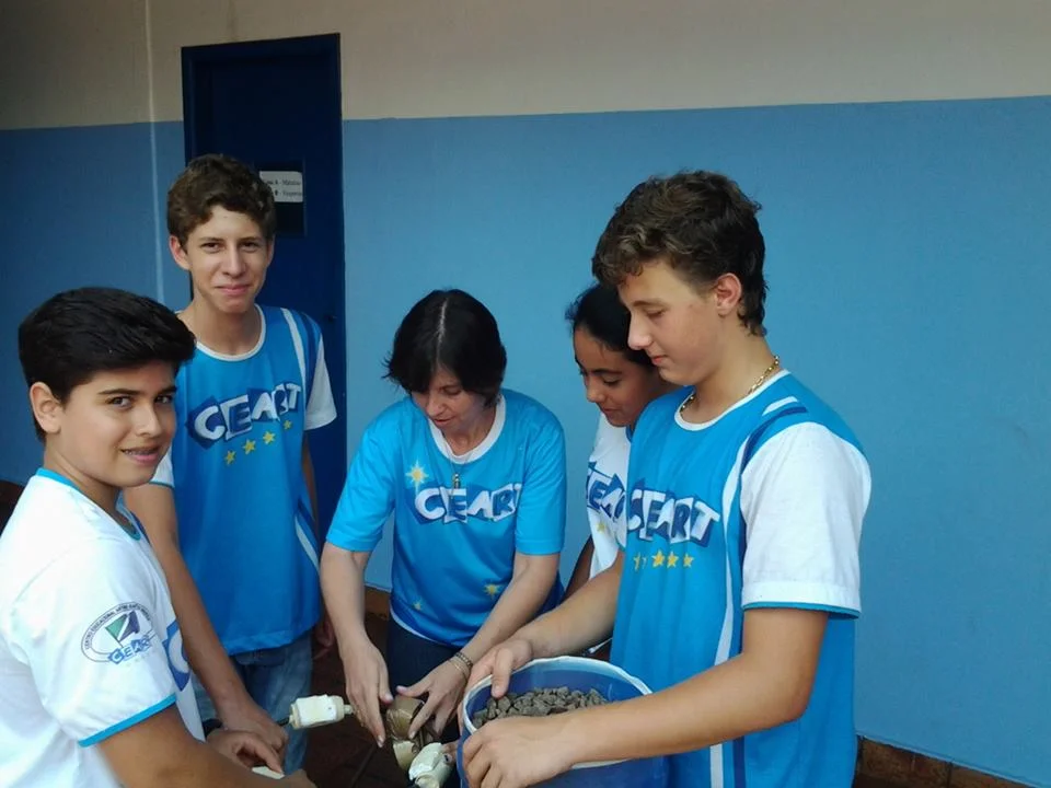 Desenvolvimento dos Projetos da Feira de Ciências- 2015