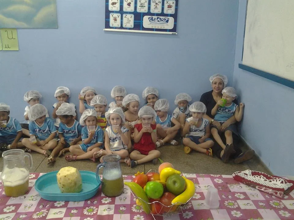 Desenvolvimento dos Projetos da Feira de Ciências- 2015