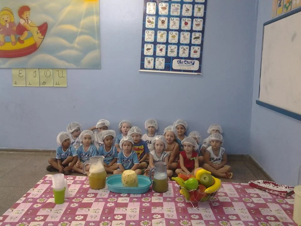 Desenvolvimento dos Projetos da Feira de Ciências- 2015
