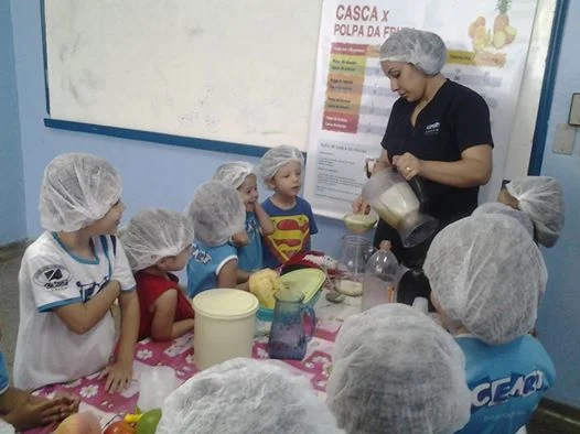 Desenvolvimento dos Projetos da Feira de Ciências- 2015