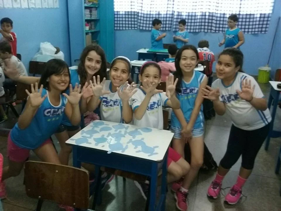 Desenvolvimento dos Projetos da Feira de Ciências- 2015