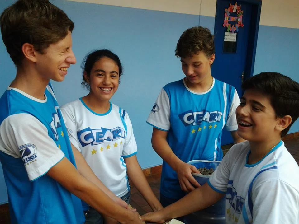 Desenvolvimento dos Projetos da Feira de Ciências- 2015