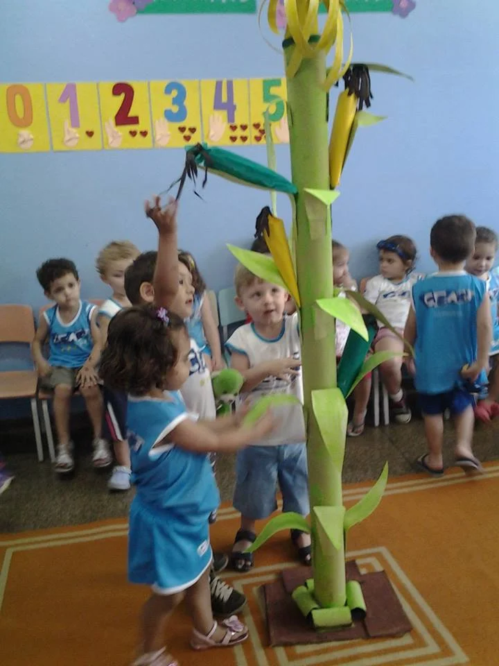 Desenvolvimento dos Projetos da Feira de Ciências- 2015