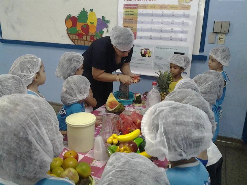 Desenvolvimento dos Projetos da Feira de Ciências- 2015