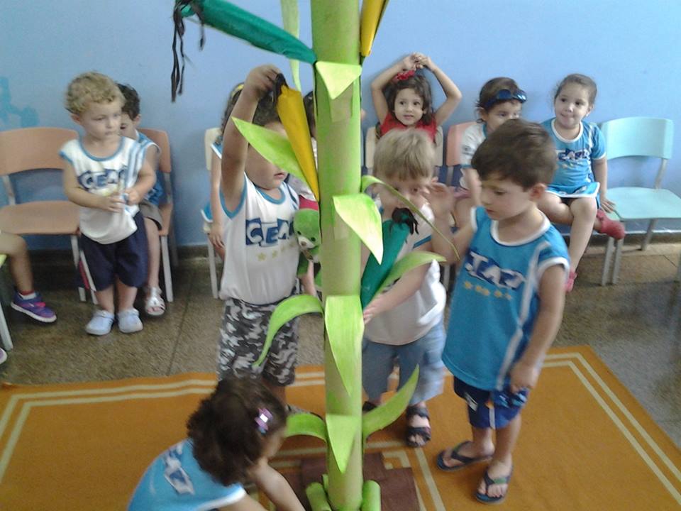 Desenvolvimento dos Projetos da Feira de Ciências- 2015