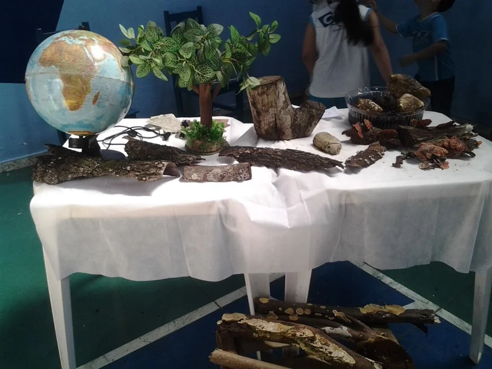 Feira de Ciências- 2015