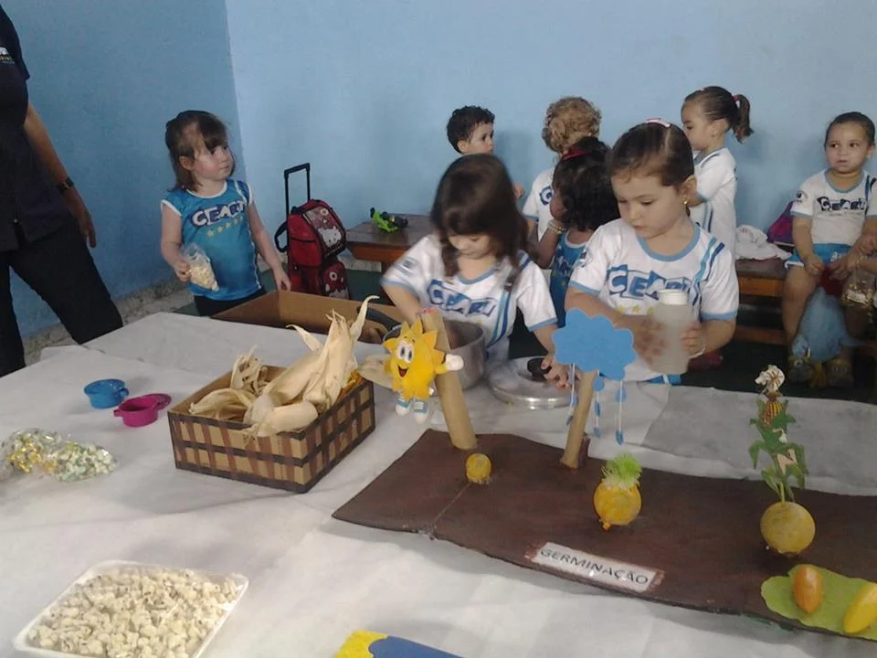 Feira de Ciências- 2015