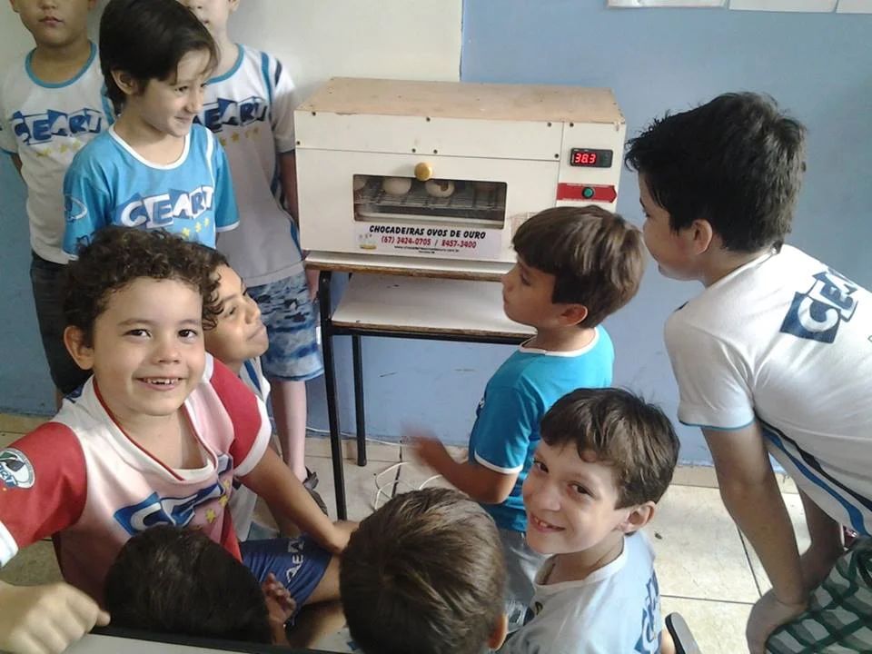 Feira de Ciências- 2015
