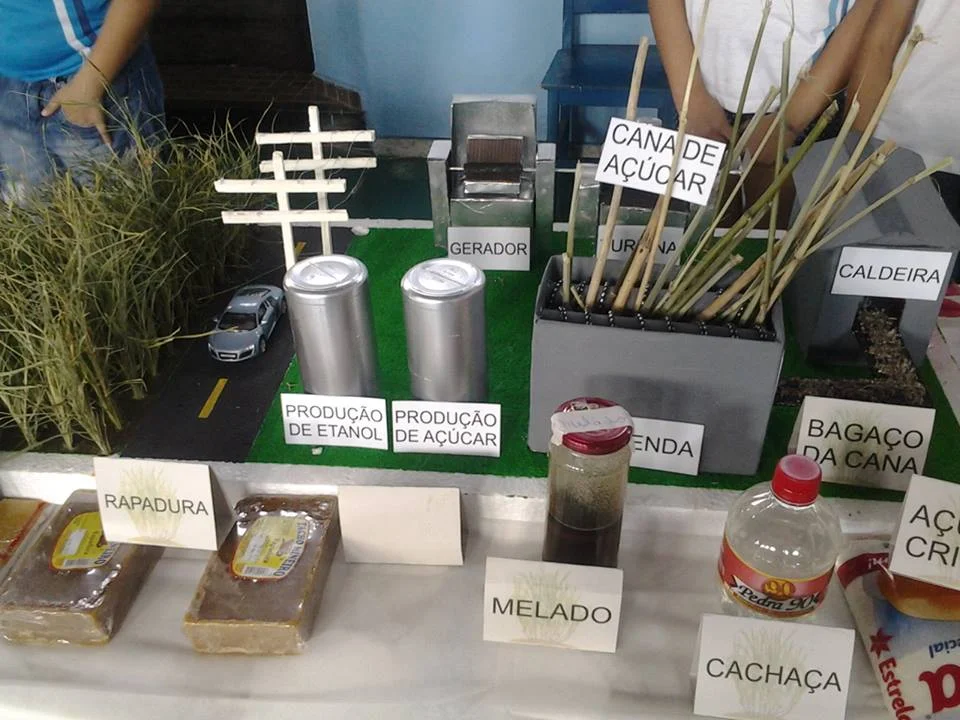 Feira de Ciências- 2015