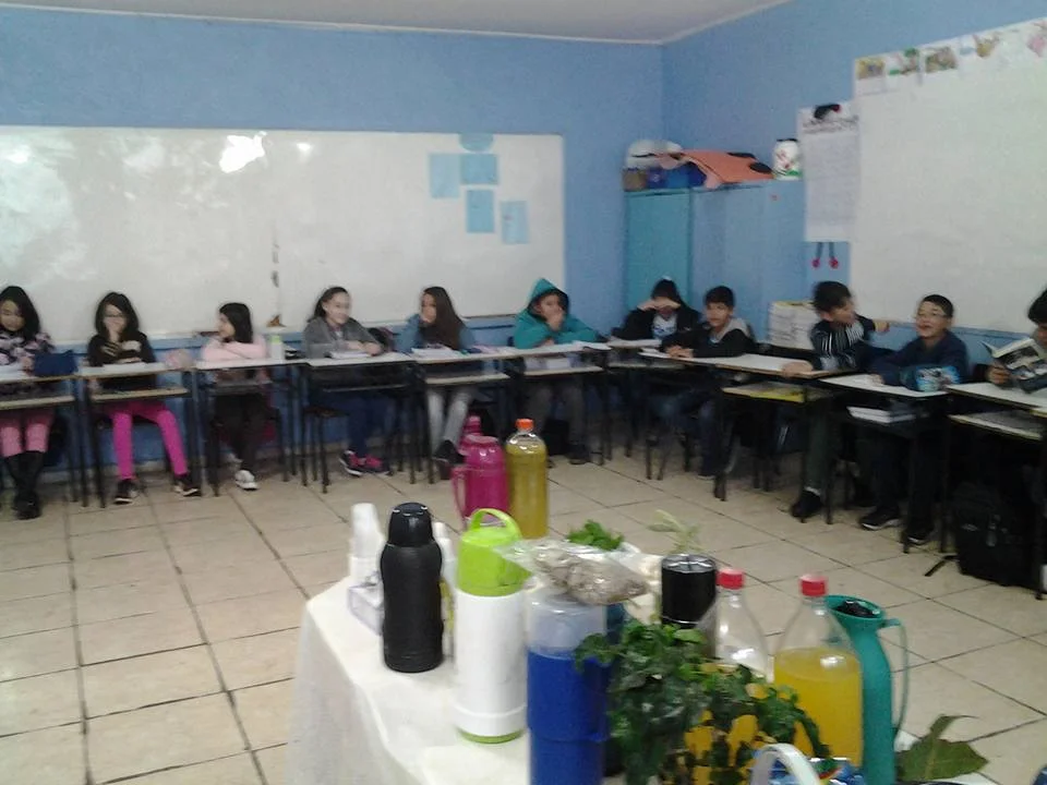 "PLANTAS MEDICINAIS" - 7° Ano - Profª Viviane