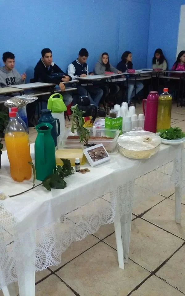 "PLANTAS MEDICINAIS" - 7° Ano - Profª Viviane