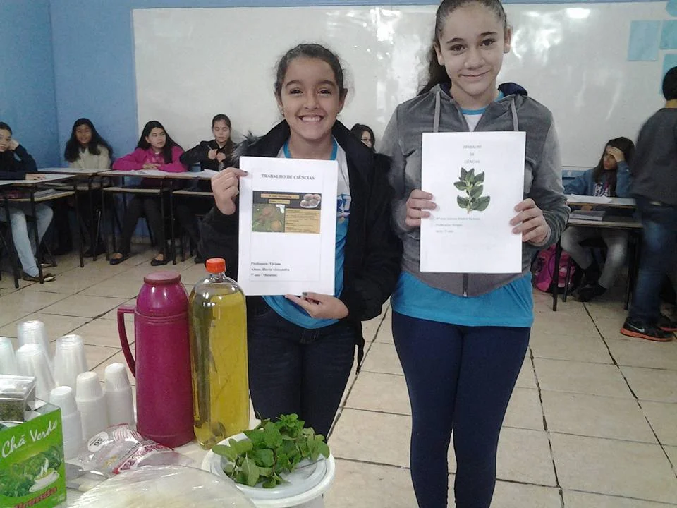 "PLANTAS MEDICINAIS" - 7° Ano - Profª Viviane