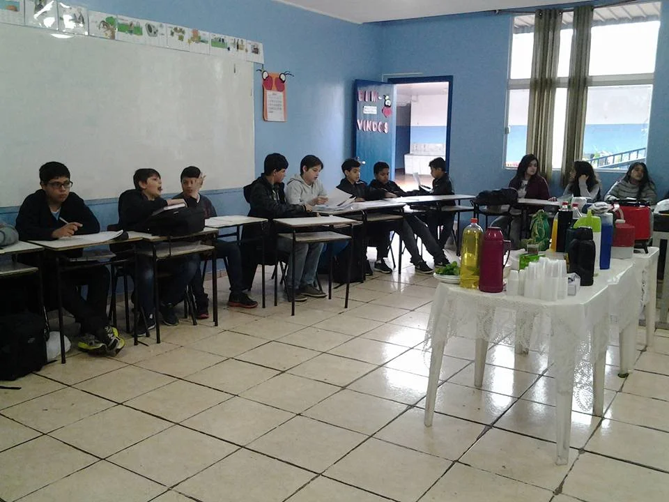 "PLANTAS MEDICINAIS" - 7° Ano - Profª Viviane