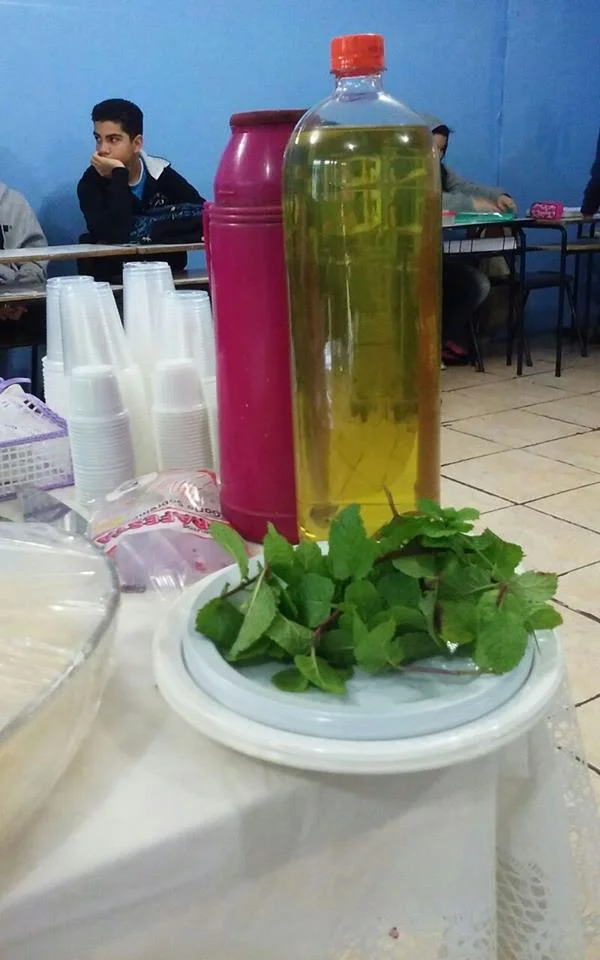 "PLANTAS MEDICINAIS" - 7° Ano - Profª Viviane