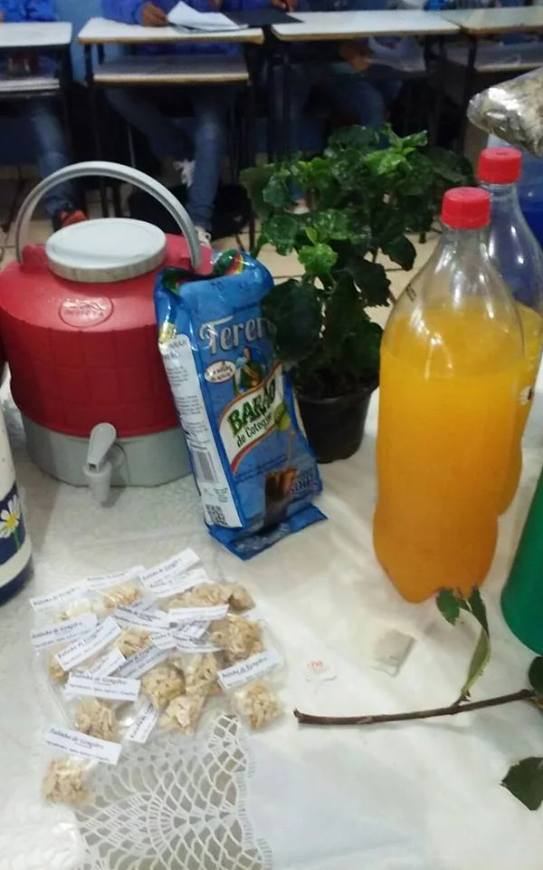 "PLANTAS MEDICINAIS" - 7° Ano - Profª Viviane