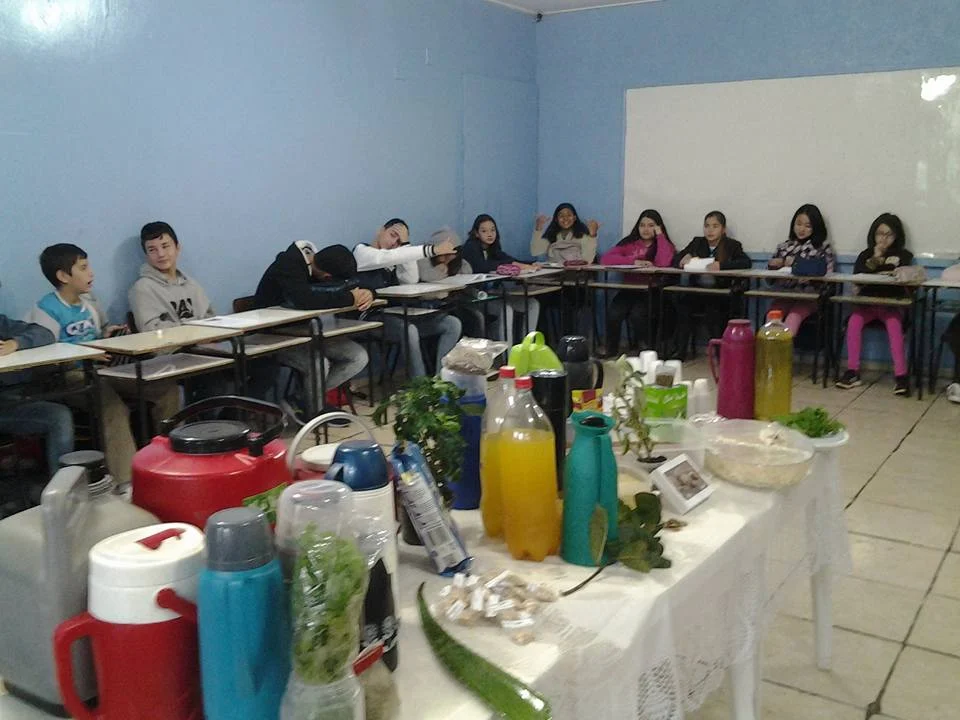 "PLANTAS MEDICINAIS" - 7° Ano - Profª Viviane