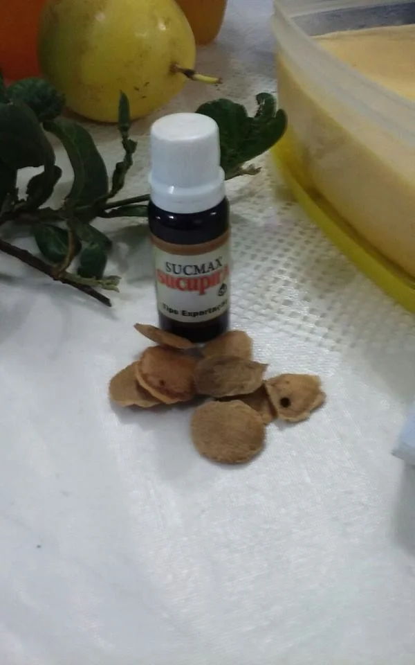 "PLANTAS MEDICINAIS" - 7° Ano - Profª Viviane