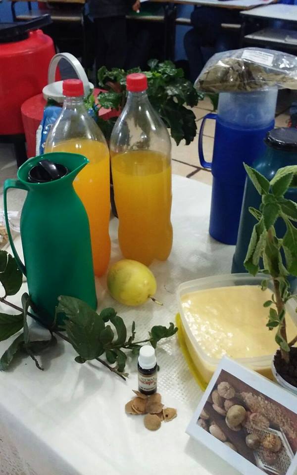"PLANTAS MEDICINAIS" - 7° Ano - Profª Viviane