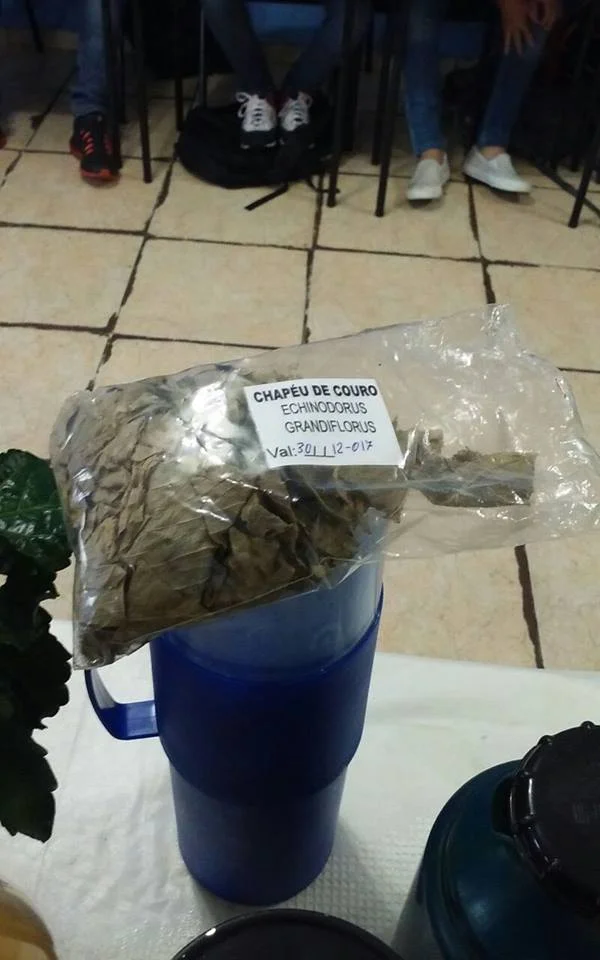 "PLANTAS MEDICINAIS" - 7° Ano - Profª Viviane
