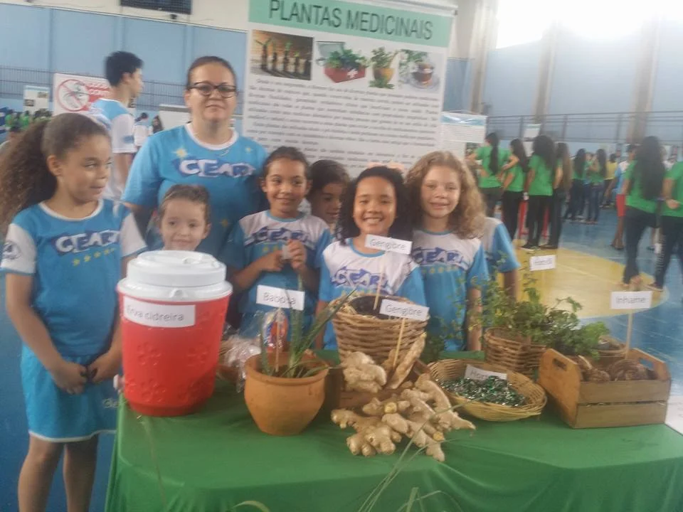 Feira de Ciências - 2016 Feira de Ciências - 2016