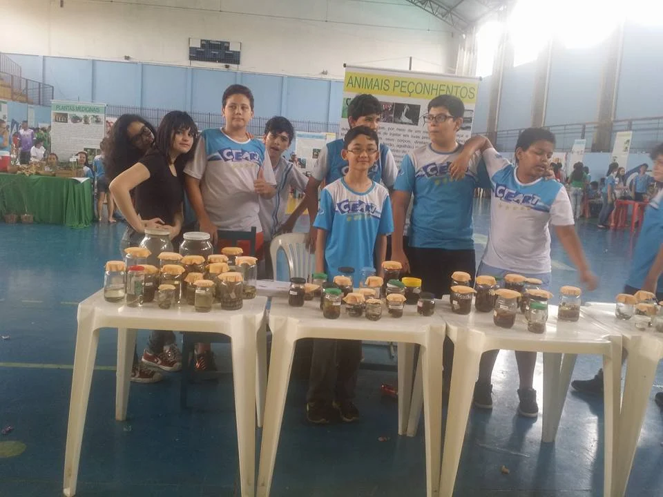 Feira de Ciências - 2016 Feira de Ciências - 2016