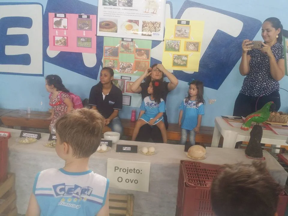 Feira de Ciências - 2016 Feira de Ciências - 2016