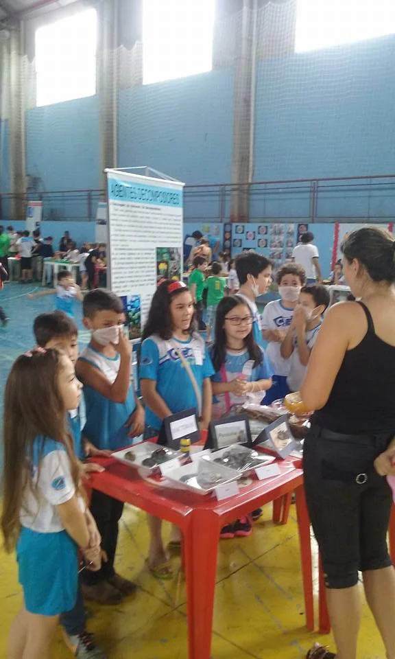 Feira de Ciências - 2016 Feira de Ciências - 2016