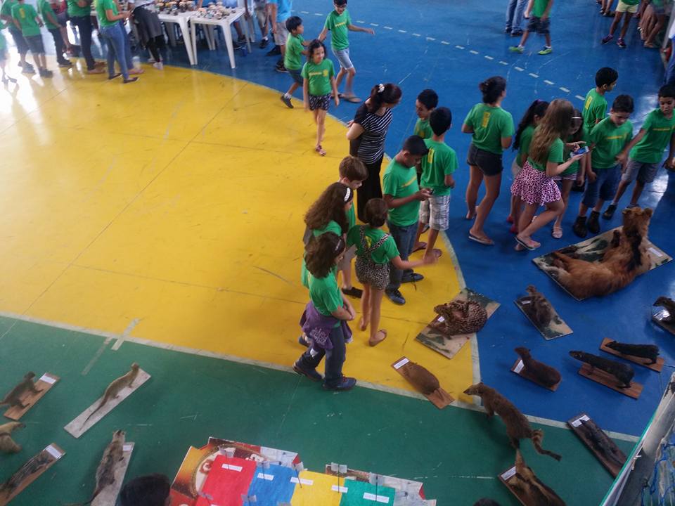 Feira de Ciências - 2016 Feira de Ciências - 2016