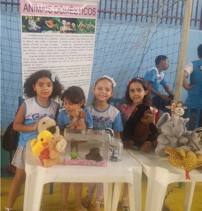 Feira de Ciências - 2016 Feira de Ciências - 2016